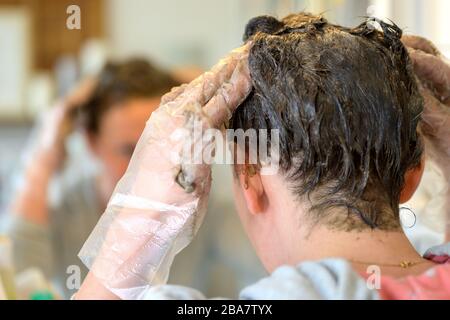 Donna massaggiante in colorant per capelli o tintura nei suoi capelli marroni in un primo piano sulle sue mani in guanti di plastica monouso Foto Stock