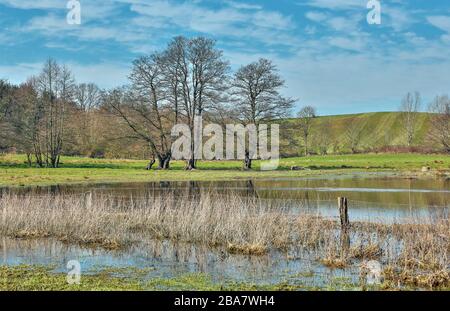 Dopo un lungo periodo di tempo piovoso, si formarono grandi distese d'acqua che furono visitate anche dalle anatre. Malente, Germania Foto Stock