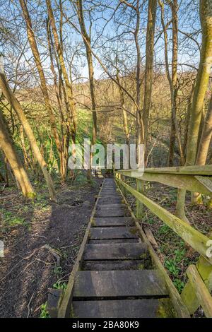 Passi di legno su quattro bordi Abbeys Way lungo sentiero di distanza Foto Stock