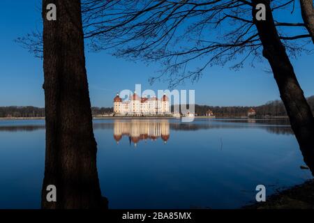 Moritzburg, Germania. 23 marzo 2020. Il Castello di Moritzburg, l'ex rifugio di caccia della famiglia Wettin, si riflette nello stagno del castello al mattino. Credit: Robert Michael/dpa-Zentralbild/dpa/Alamy Live News Foto Stock