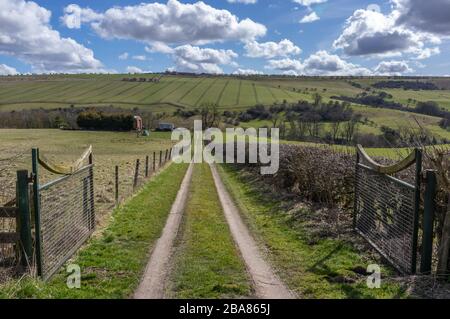 La pista sterrata conduce in una fattoria in una giornata di sole con il cielo blu. Foto Stock