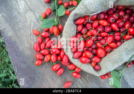 Biancospino su sfondo rustico tavolo in legno. Rose anche frutto del cane rose Foto Stock