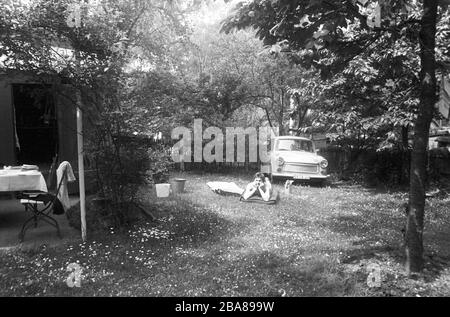 30 novembre 1978, Sassonia, Lipsia: Un giovane Masnn si trova in un prato nel suo giardino di fronte al suo Trabant, alla fine degli anni '70. Data esatta di registrazione non nota. Foto: Volkmar Heinz/dpa-Zentralbild/ZB Foto Stock