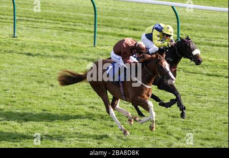 Top Notch Tonto (a sinistra) guidato da Jockey Dale Swift Pips Kolonel Kirkup indetto da Mirco Demuro per vincere la costruzione di Sted - concrete's What We Do Nursery Race Foto Stock