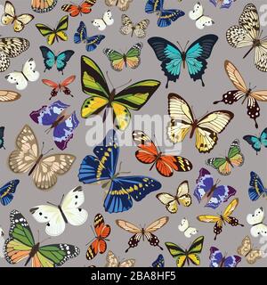 Disegno senza cuciture con farfalle piccole e grandi colorate. Illustrazione vettoriale. Illustrazione Vettoriale