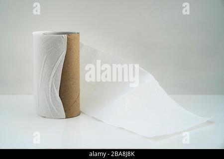 Last sheet of toilet paper. Foto Stock