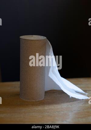 Last sheet of toilet paper. Foto Stock