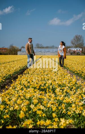 Coppia a piedi in giallo fiore letto giallo daffodil fiori durante la primavera nei Paesi Bassi Lisse Foto Stock