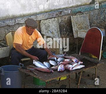 Algarve immagini di viaggio Foto Stock