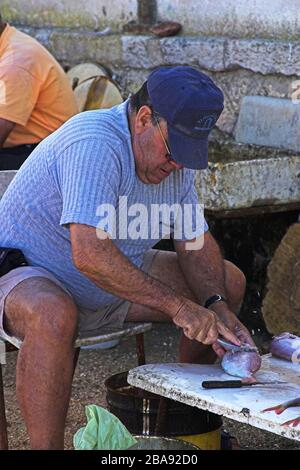 Algarve immagini di viaggio Foto Stock