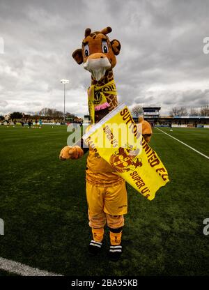 Sutton United mascotte 'Jenny the Giraffe' che indossa una maschera facciale prima del gioco Foto Stock