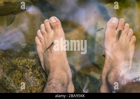 Giovane uomo avente il pesce di antimonio della terapia spa e massaggio ai piedi in cascata. Foto Stock