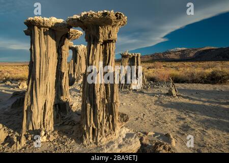 Tufas di sabbia, Mono Lake, Sierra orientale, California, Stati Uniti Foto Stock