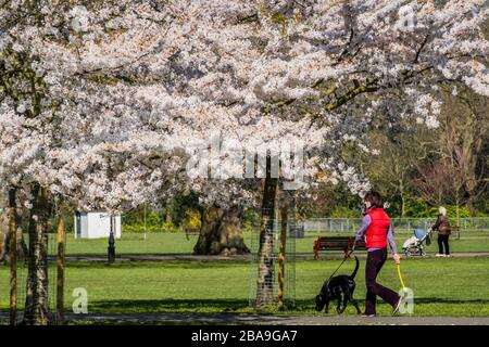 Londra, Regno Unito. 26 marzo 2020. La gente esce a Battersea Park per ottenere il loro giorno di esercizio in - la maggior parte pratica di distanza sociale. Il secondo giorno dell'epidemia di "lockdown" a Clapham - Coronavirus (Covid 19) a Londra. Credit: Guy Bell/Alamy Live News Foto Stock