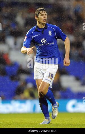 Nikola Zigic, Birmingham Foto Stock