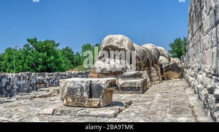 Tamburi a colonna caduti da un terremoto, Tempio di Apollo, Didyma, Turchia, in una giornata estiva soleggiata Foto Stock