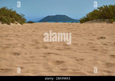 Bellissimo paesaggio di sabbia dorata sulla riva della spiaggia con acqua blu e vegetazione e sullo sfondo l'Isla de Lobos e il cielo limpido Foto Stock