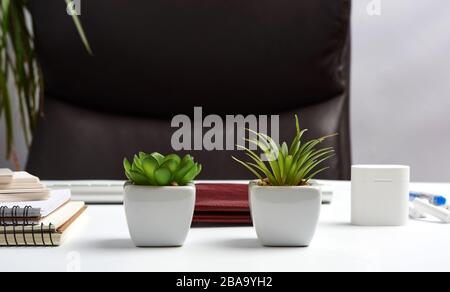 posto di lavoro executive, poltrona in pelle marrone vuota, blocchi note su tavolo bianco, vasi da fiori con piante verdi Foto Stock