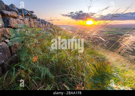 Regno Unito, Inghilterra, Northumberland, Haltwhistle, Melkridge, Winshield Crags, Adrian's Wall Foto Stock