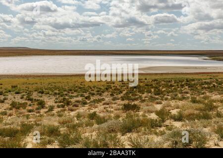 Lago di sale secco nella steppa del Kazakhstan, distretto di Aral della regione di Kyzylorda. Foto Stock