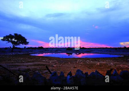 Tramonto spettacolare al bacino idrico di Okaukuejo nel Parco Nazionale di Etosha Foto Stock