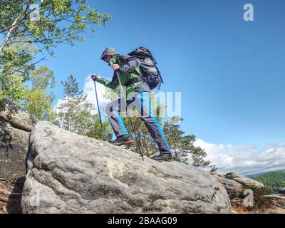 Uomo con gambe lunghe, scarpe da running su piedi. Un turista in scarpe sportive con bastoni da passeggio su un sentiero di montagna sullo sfondo di una vecchia foresta. Foto Stock