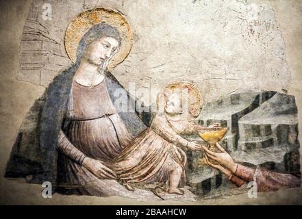 Italia - Emilia Romagna - Ravenna - Museo Nazionale - Pietro da Rimini (XIV sec.) Adorazione dei Magi. Particolare. Dalla chiesa di Santa Chiara a Ravenna, Madonna con Bambino Foto Stock