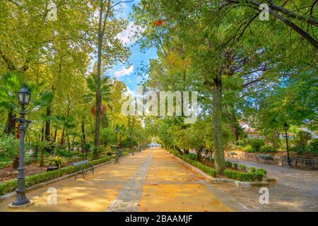 Parco pubblico Alameda del Tajo a Ronda. Andalusia, Spagna Foto Stock