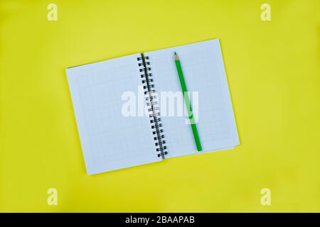 Un pastello a matita di legno verde posto sopra un notebook aperto e pronto a scrivere qualcosa Foto Stock