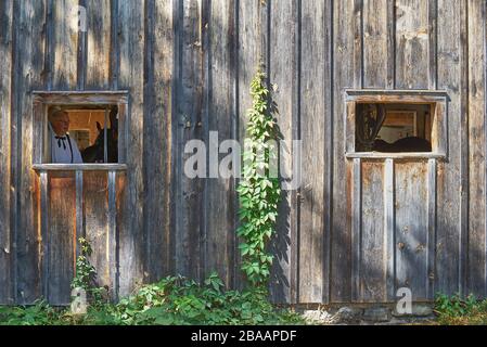 TOP CANADIAN VILLAGE, MORRISBURG, ONTARIO, CANADA - 17 OTTOBRE 2019. Un cocchiere in una finestra di maneggio presso l'Ontario Open Air Museum. Raggiungere C Foto Stock