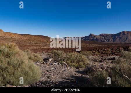 Vista sul campo di lava nella caldera del Parco Nazionale del Monte Teide, Tenerife, Isole Canarie, Spagna Foto Stock