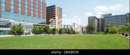 Green Lawn in East Campus Mall of University of Wisconsin-Madison, Madison, Dane County, Wisconsin, Stati Uniti Foto Stock