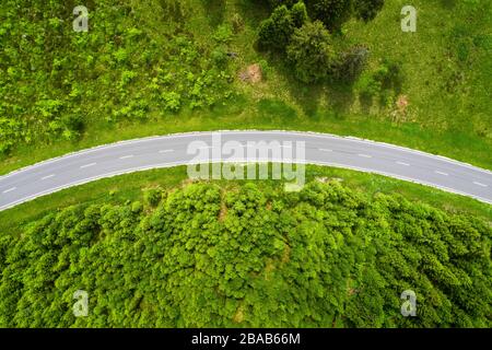 Strada curva da sopra verde fogliame, Baiersbronn, Baden Wurttemberg, Germania Foto Stock