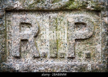 Primo piano della cornice del messaggio RIP Rest in Peace intagliato in una lapide di granito intemperata Foto Stock