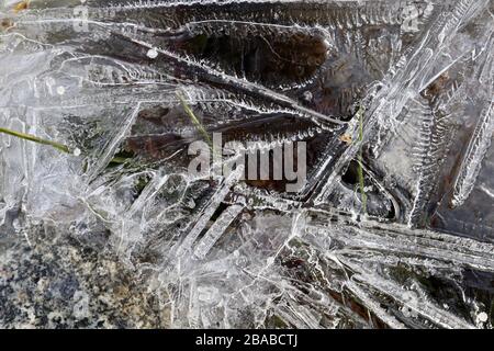 Macro di strutture di ghiaccio caotiche su piccolo ruscello congelato di mattina presto. Aghi semitrasparenti di cristalli di ghiaccio, con rocce e erba verde. Il Foto Stock