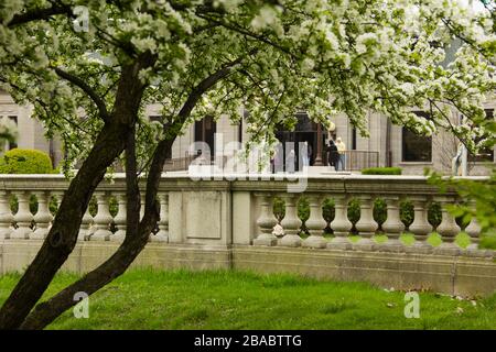 Vista delle persone che si trovano di fronte al museo Dusable attraverso la fioritura su alberi, Hyde Park, Chicago, Illinois, Stati Uniti Foto Stock