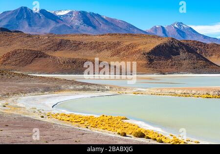 La laguna di Canapa con fenicotteri in lontananza, regione desertica di sale di Uyuni, catena montuosa delle Ande, Bolivia. Foto Stock