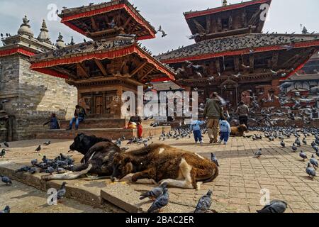 Kathmandu, Nepal. 2 Feb 2014. Hanuman Dhoka, Piazza Durbar, Kathmandu, Nepal. Credit: Bernard Menigault/Alamy Foto d'archivio Foto Stock