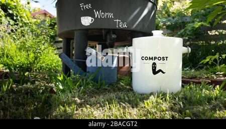 Fattoria di vite senza fine e pentola di composto della cucina in giardino australiano organico con tè libero del verme, vita sostenibile e stile di vita zero di spreco Foto Stock