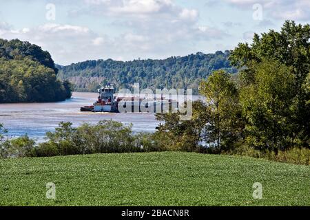 Rimorchiatore che spinge fuel chiatte, alberi nativi lungo la riva del fiume, campo di soia 'Glycine max' in primo piano, Ohio River. Foto Stock