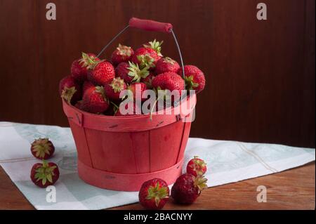 Fragole mature che riempiono un cesto di legno rosso con un manico. Foto Stock