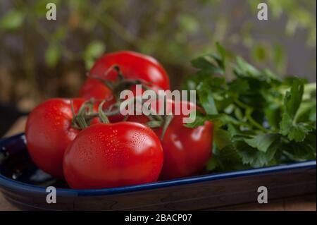 Studio foto di pomodori sulla vite e prezzemolo su piatto ovale blu scuro. Foto Stock