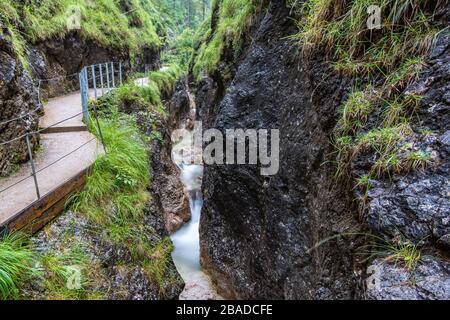 Ai piedi dell'Untersberg, l'Almbach si tuffa nel selvaggio e romantico Almmbachklamm Foto Stock