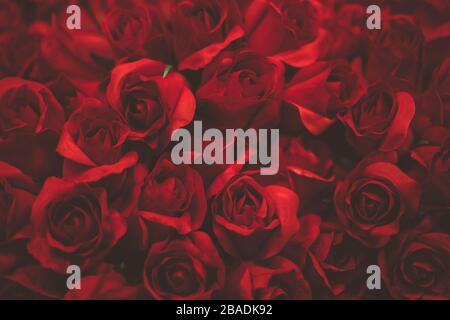 Bouquet di rose rosse artificiali. Fiore backgriund Foto Stock