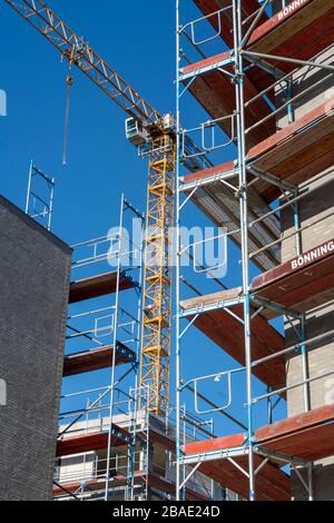 Importante cantiere Parc Dunant, sulla Henri-Dunant-Strasse a Essen-RŸttenscheid, dove 298 condomini e un centro di assistenza diurna sono in fase di costruzione fino a. Foto Stock