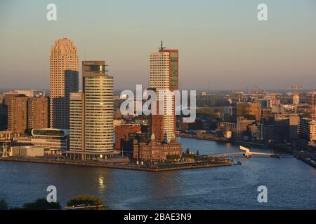 Rotterdam, Kop van Zuid, Paesi Bassi-Ottobre 2019; ampia vista ad alta angolazione dell'area di Kop van Zuid, compreso l'ex edificio degli uffici dell'Holland America L. Foto Stock