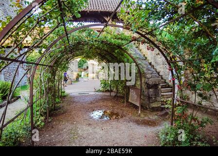 Giardino verde con piante e fiori all'Ecomuseo d'Alsace, l'éco musée d'Alsace Foto Stock