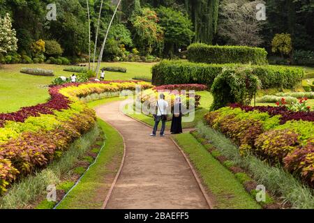 Percorso nei Giardini Botanici reali vicino Kandy, Sri Lanka Foto Stock