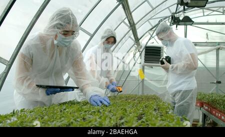 Giovani agricoltori che controllano le piante in nuova serra Foto Stock