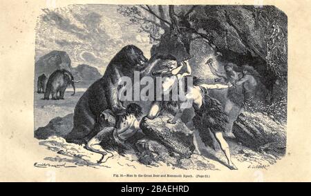 Grande orso e epoca mammut, secondo l'illustratore francese Emile Bayard (1837-1891), illustrazione Artwork pubblicato in primitive Man da Louis Figuier (1819-1894), pubblicato a Londra da Chapman e Hall 193 Piccadilly nel 1870 Foto Stock